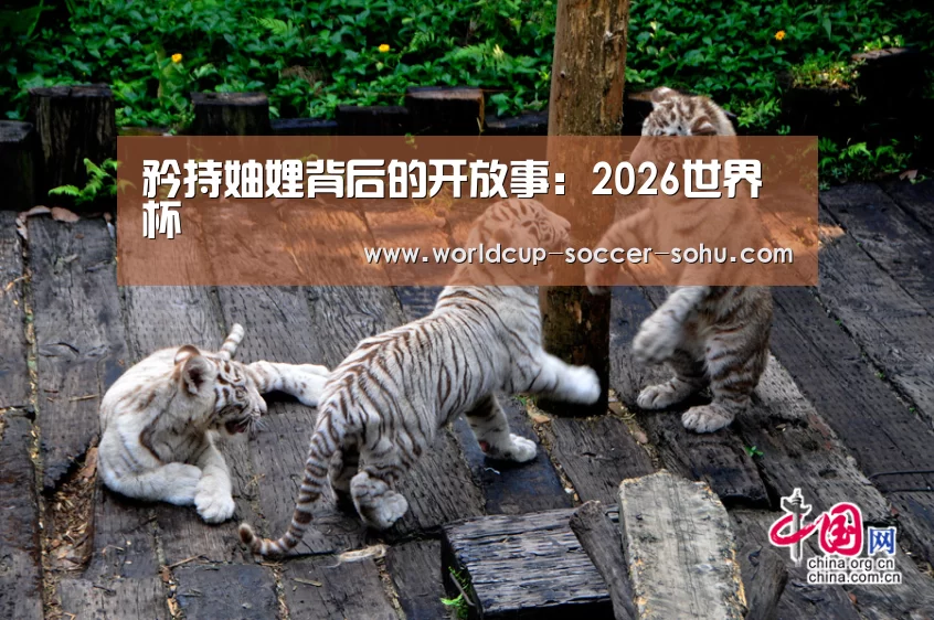 矜持妯娌背后的开放事：2026世界杯
